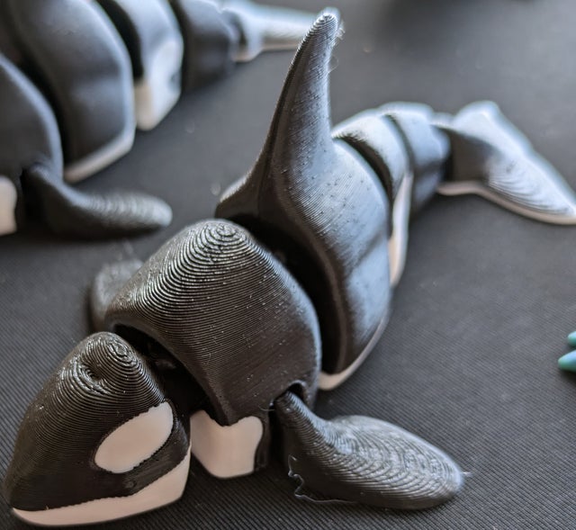 Small Orca